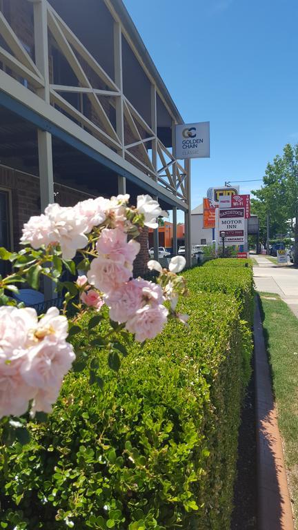 Sandstock Motor Inn Armidale Εξωτερικό φωτογραφία